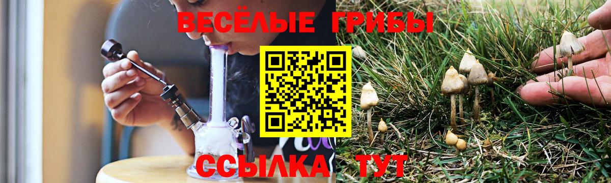 Псилоцибиновые грибы прущие грибы  Псилоцибиновые грибы Psilocybe  Вход с VPN  Тихорецк 